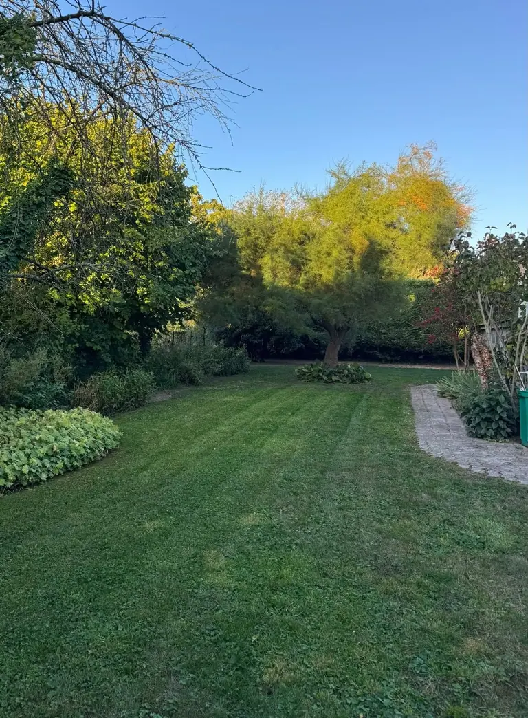Pelouse tondue en bandes régulières dans un jardin arboré